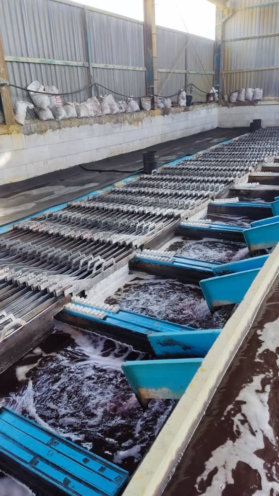 Electrowinning tankhouse with electrode plates in a row of cells